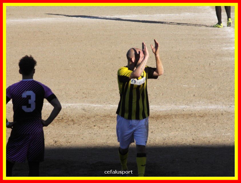 190310 Cephal_Torrenov 174_tn.jpg